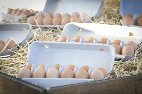 660px-1.-Screenshot-2023-12-21-at-9.03.27 am Nexdoc